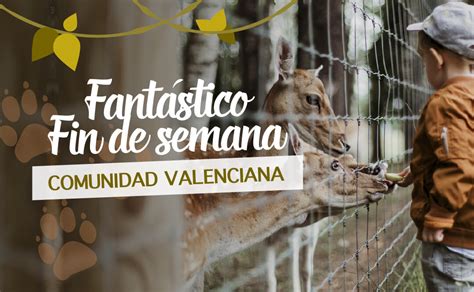 escapada con nios comunidad valenciana|5 Escapadas de Fin de Semana a la Comunitat Valenciana